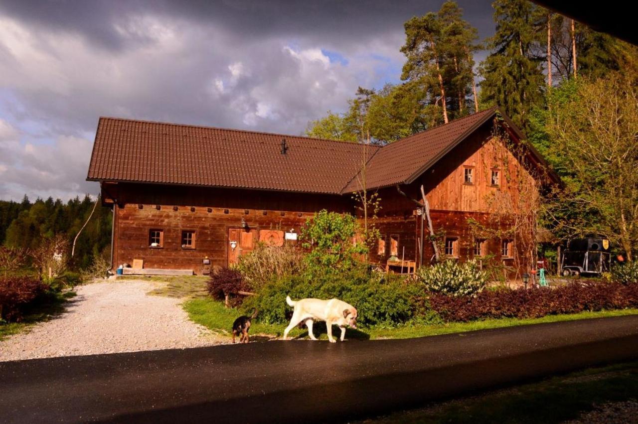 Ranch Kaja & Grom Hotel Vojnik Exterior foto